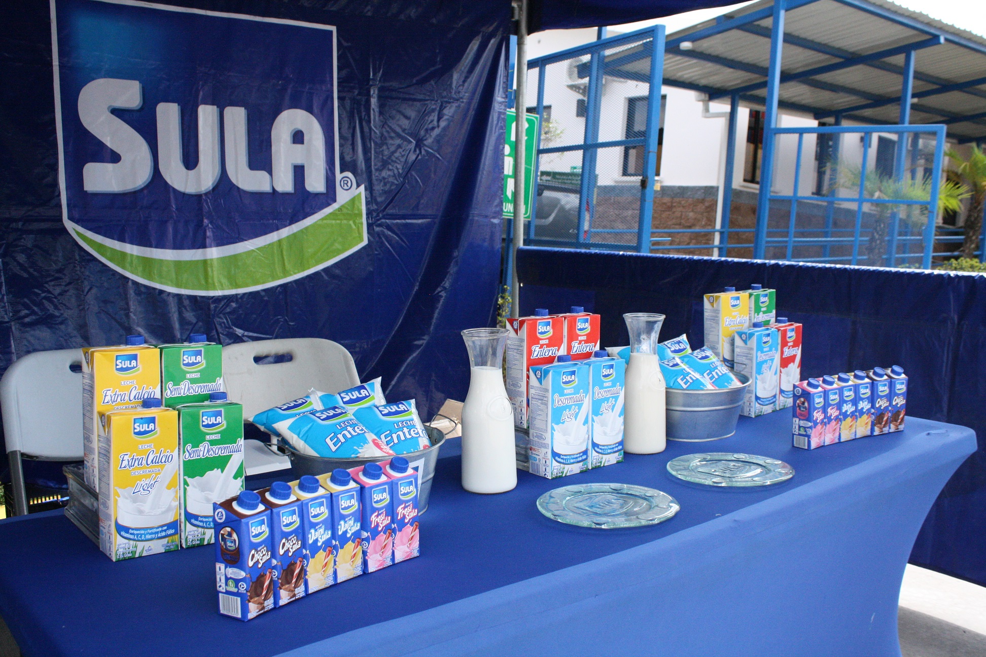 Ganaderos e industria celebran el día mundial de la leche