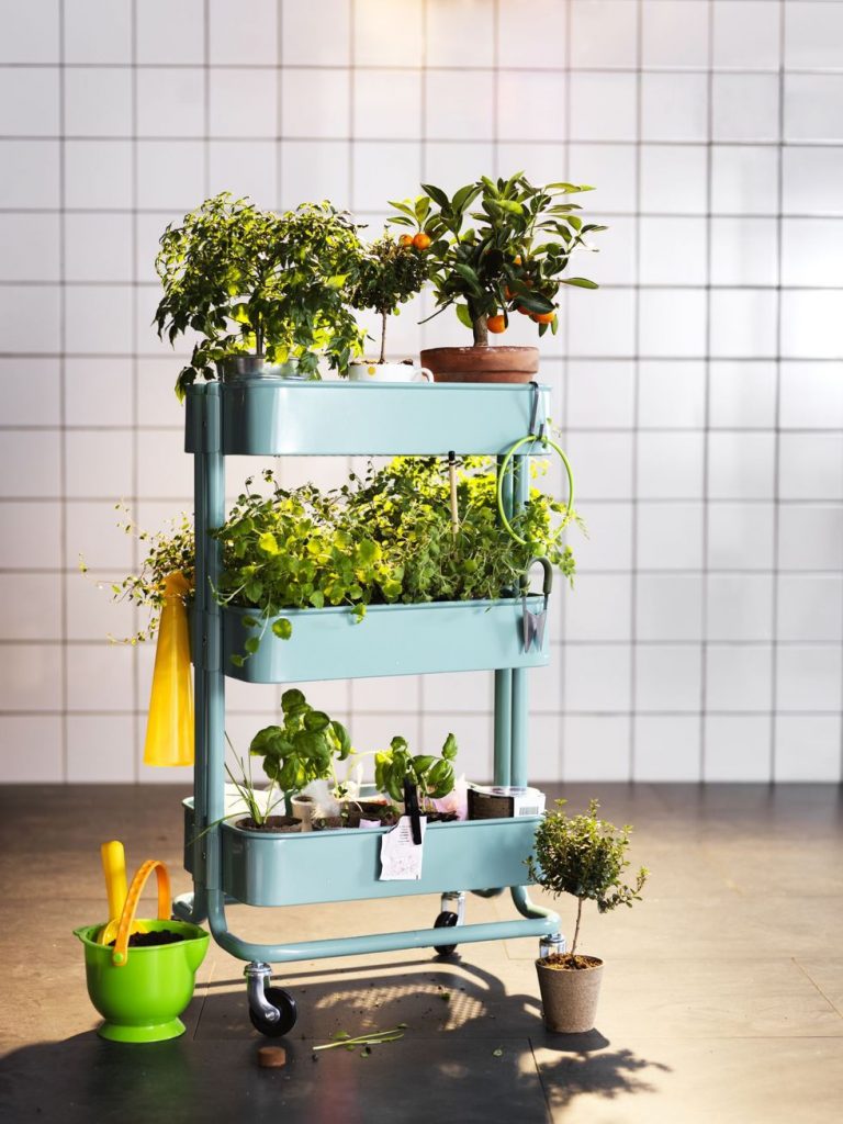 Ideas para montar un jardín aromático en casa
