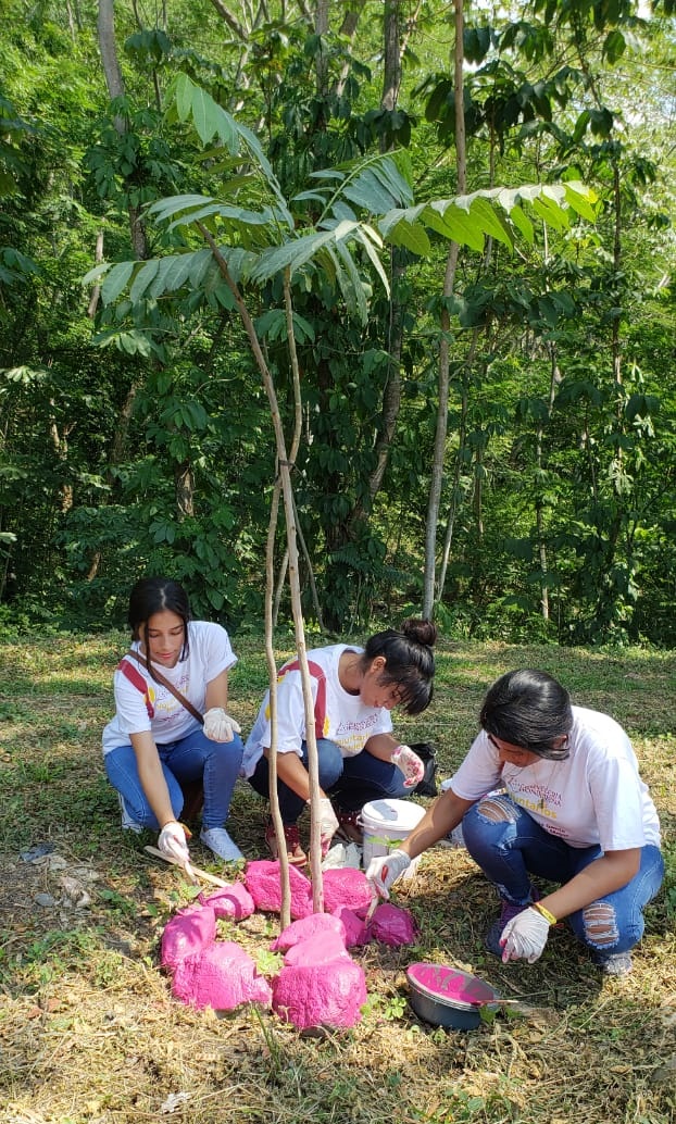 Voluntarios de Cervecería Hondureña en jornada de reforestación