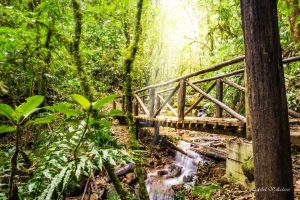 Mejores lugares para hacer senderismo en Honduras